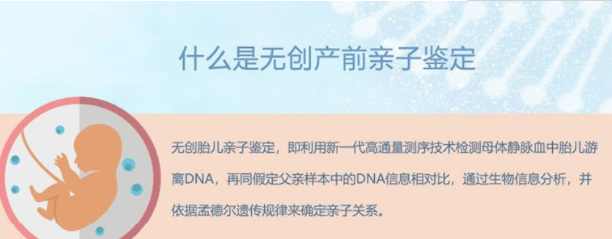 连云港怀孕需要怎么做亲子鉴定,连云港怀孕办理亲子鉴定办理条件