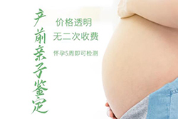 连云港怀孕四个月需要怎么做DNA鉴定，连云港孕期亲子鉴定费用是多少